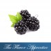 TFA Blackberry