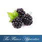 TFA Blackberry