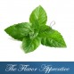 TFA Peppermint II