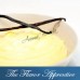 TFA Vanilla Custard