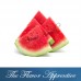 TFA Watermelon