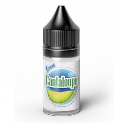 Ice Cantaloupe DIY Kit